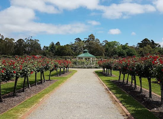 australia/northern-victoria/attraction/victoria-state-rose-garden