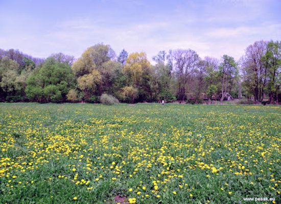 czechia/ostrava/attraction/louky