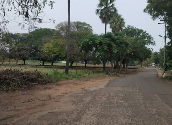 india/coimbatore/attraction/botanical-survey-of-india-southern-regional-centre