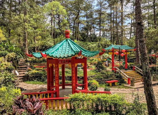 philippines/baguio/attraction/baguio-botanical-garden