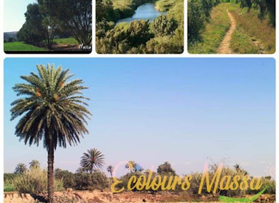 morocco/souss-massa/attraction/ecotours-massa