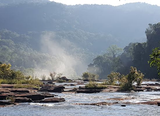 laos/mekong-river-valley/attraction/dong-hua-sao-national-bio-diversity-conservation-area