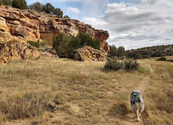 colorado/la-junta/attraction/vogel-canyon-picnic-area