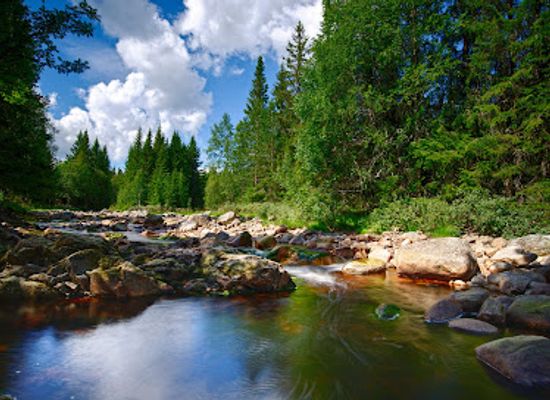 norway/hedmark/attraction/korpreiret-canyon-in-loten-and-elverum
