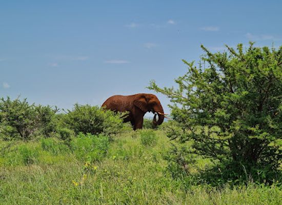 south-africa/elephant-coast/attraction/phongolo-nature-reserve