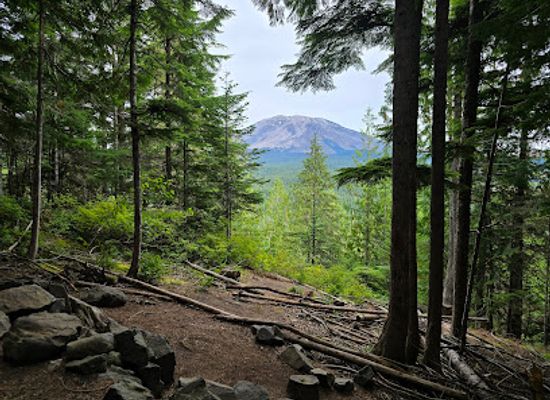 washington/mount-st-helens-area/attraction/mount-st-helens-viewpoint