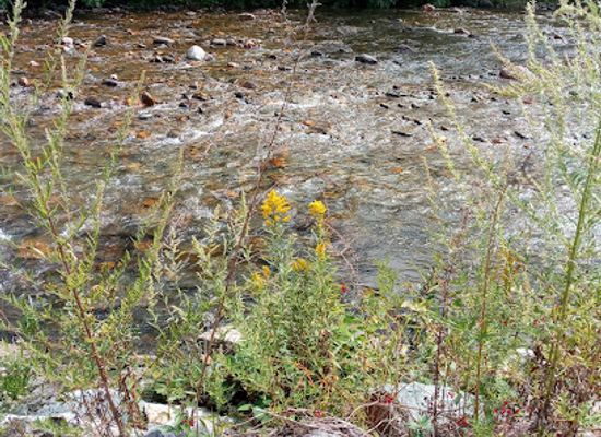 vermont/sugarbush-resort/attraction/kingsbury-greenway-wabanaki-conservation-area-parking