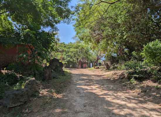 kenya/coastal-region/attraction/haller-park-butterfly-pavilion