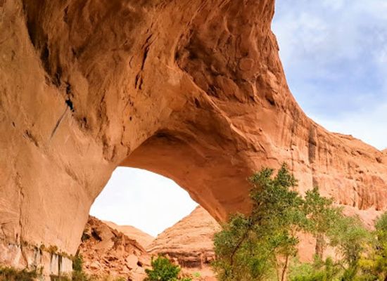 utah/henry-mountains/attraction/hurricane-wash-trailhead