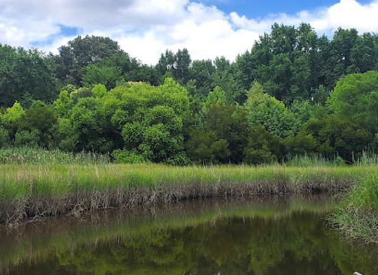virginia/great-dismal-swamp-national-wildlife-refuge/attraction/paradise-creek