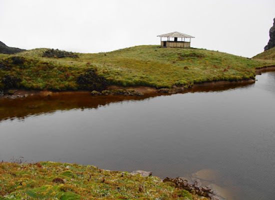 ecuador/papallacta-hot-springs/attraction/sachayacu