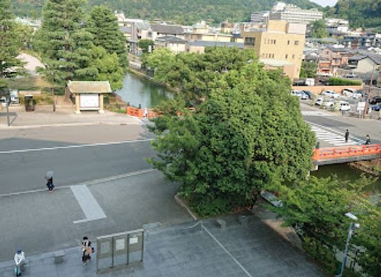 japan/kyoto-countryside/attraction/the-national-museum-of-modern-art-kyoto