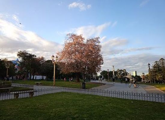 argentina/buenos-aires/attraction/intendente-torcuato-de-alvear-park