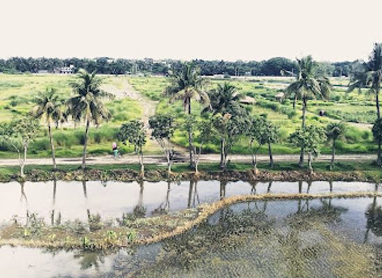 bangladesh/jessore/attraction/local-bypass-park