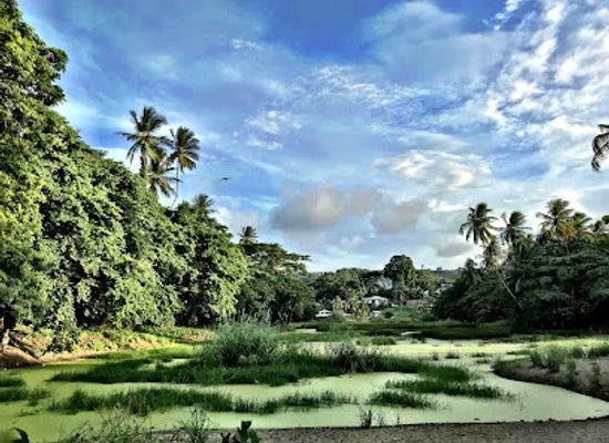 trinidad-and-tobago/tobago/attraction/great-courland-bay-turtle-beach