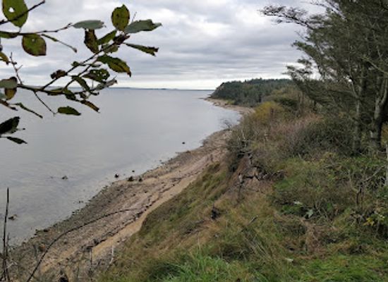 denmark/limfjord/attraction/smalsporslokomotiver
