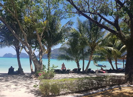 thailand/koh-phi-phi/attraction/schattiger-alter-baum-am-strand
