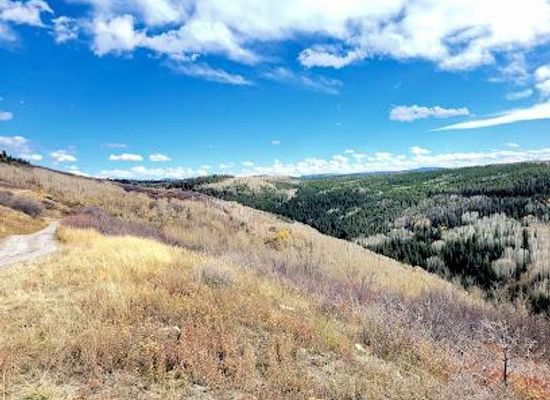colorado/roaring-fork-valley/attraction/white-river-national-forest