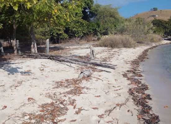 indonesia/komodo-national-park/attraction/gardena-property