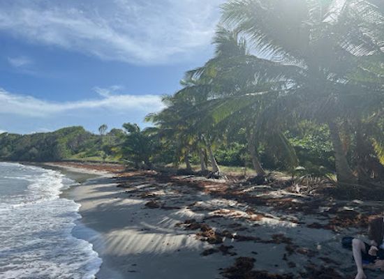 saint-lucia/choiseul-quarter/attraction/honeymoon-beach