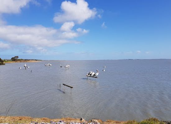 australia/coorong/attraction/meningie-museum-inc