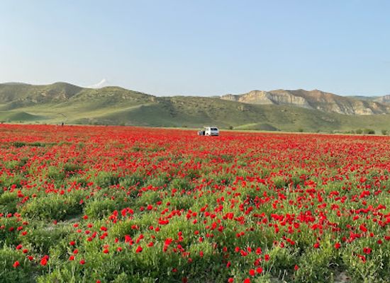 georgia/shida-kartli/attraction/qayqachoebs-veli