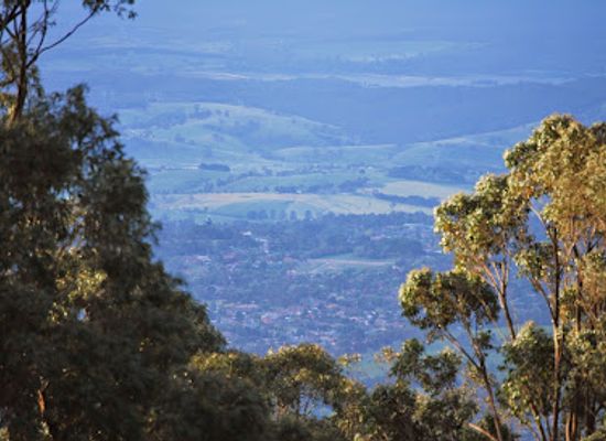 australia/mallee/attraction/william-ricketts-sanctuary