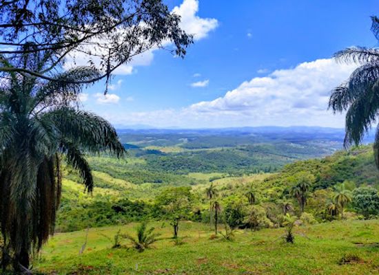 brazil/mata-dos-cocais/attraction/sitio-arqueologico-pedra-pintada