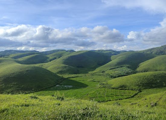 india/meghalaya/attraction/meghalaya-s-dzuko-valley