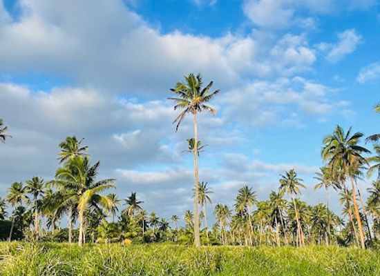 tonga/pangaimotu/attraction/hopohiva-secret-beach