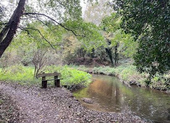 united-kingdom/norwich/attraction/river-tud-woods