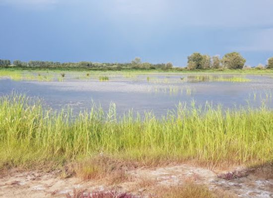 france/camargue/attraction/reserve-petit-rhone