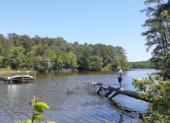 virginia/northern-neck/attraction/bush-mill-stream-natural-area-preserve