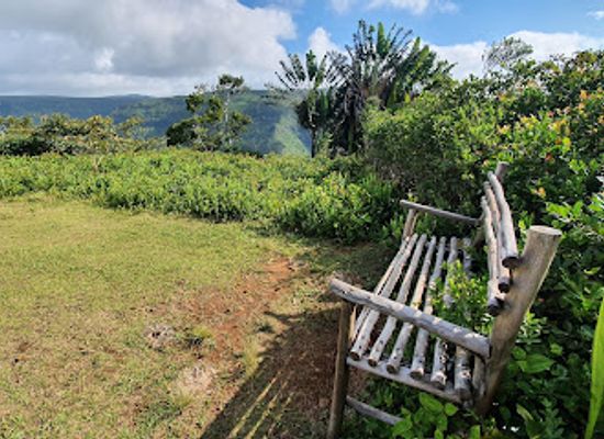 mauritius/ganga-talao/attraction/colophane-trail