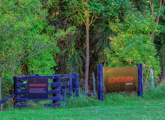 new-zealand/gisborne/attraction/longbush-reserve