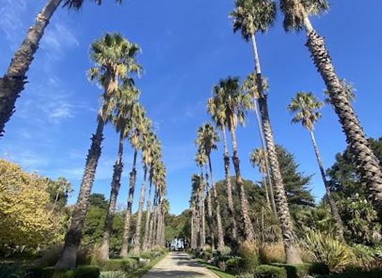 australia/melbourne/attraction/williamstown-botanic-gardens