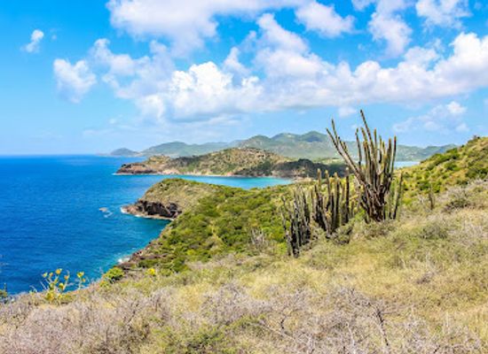 antigua-and-barbuda/barbuda/attraction/carpenter-rock-trail-antigua