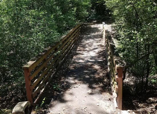 texas/college-station/attraction/billie-madeley-park