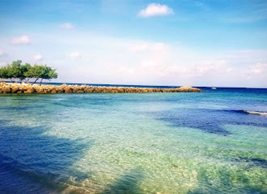 aruba/natural-pool/attraction/bubali-bird-sanctuary