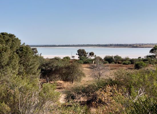 cyprus/larnaca-salt-lake/attraction/pattihio-forest-park