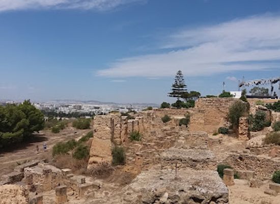 tunisia/tunis/carthage/attraction/carthage-land