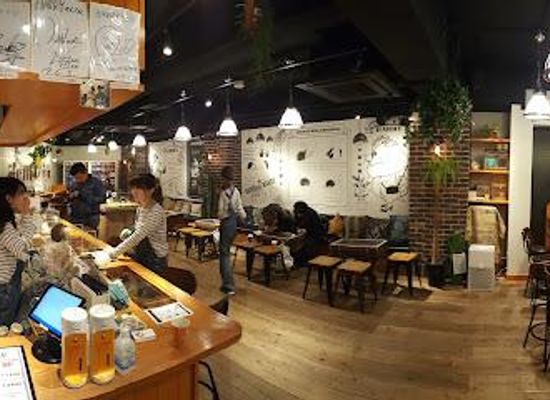 japan/tajima/attraction/hedgehog-cafe-pet-store-harry-harajuku