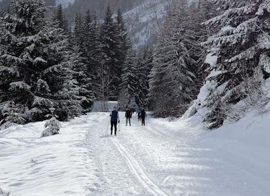 washington/western-washington/attraction/iron-horse-state-park