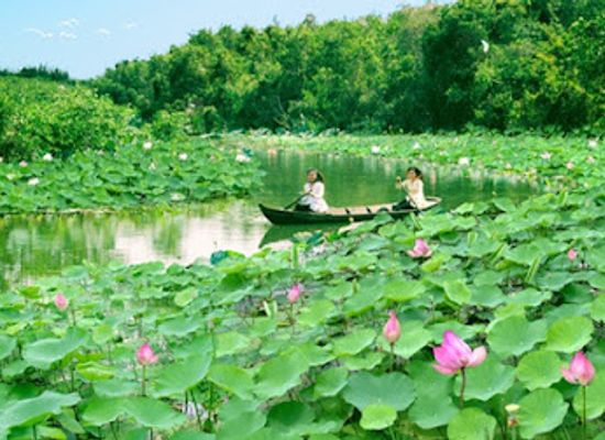 vietnam/southeast/attraction/khu-bao-ton-dat-ngap-nuoc-lang-sen