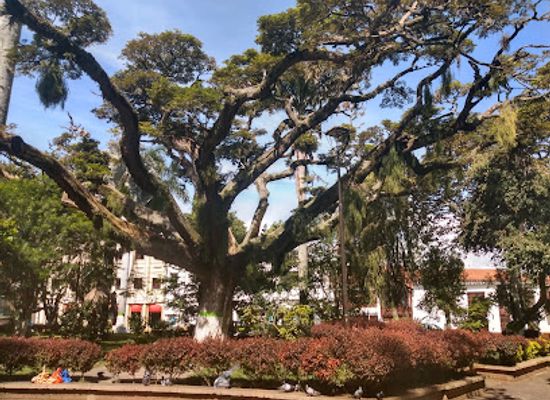 colombia/santanderes/attraction/independencia-park