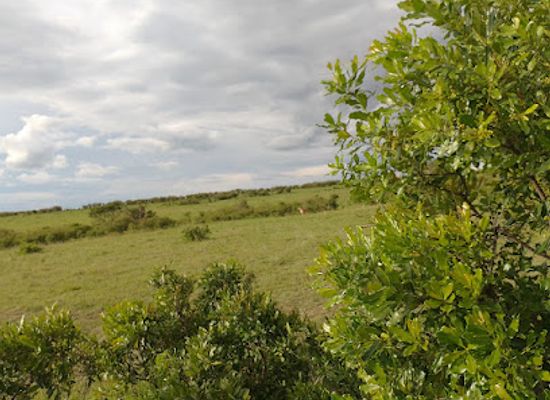 kenya/maasai-mara-national-reserve/attraction/masai-mara-national-reserve-talek-gate