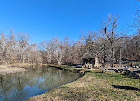 kentucky/jackson-purchase/attraction/levi-jackson-state-park