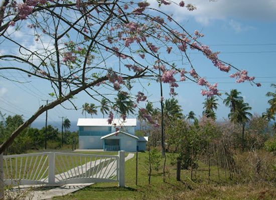 saint-lucia/choiseul-quarter/attraction/choiseul-art-gallery-and-the-cultural-blend-museum