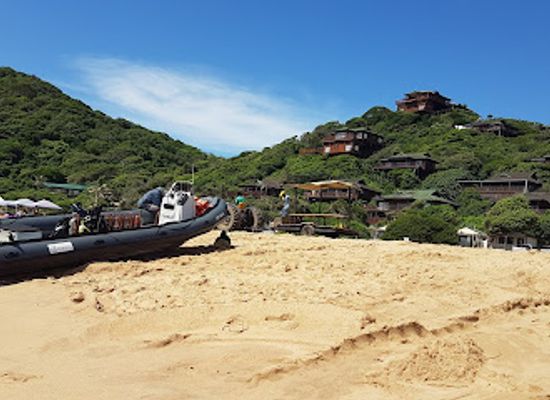 mozambique/ponta-do-ouro/attraction/dolphin-encountours-research-center