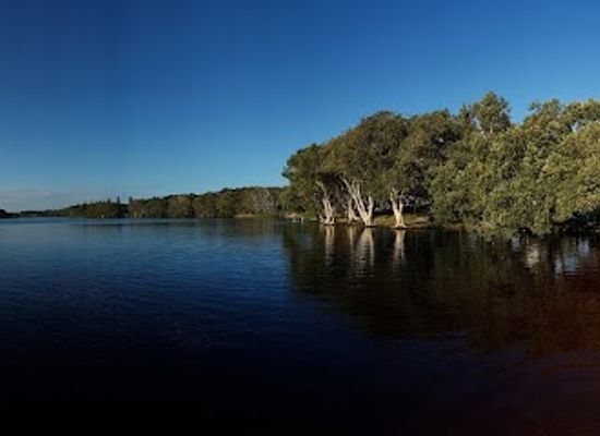 australia/northern-rivers/attraction/lake-ainsworth
